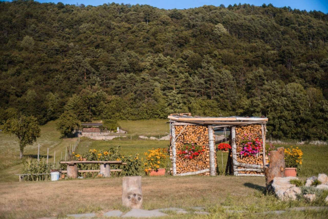 B&B Nonno Carlo Trento Eksteriør bilde