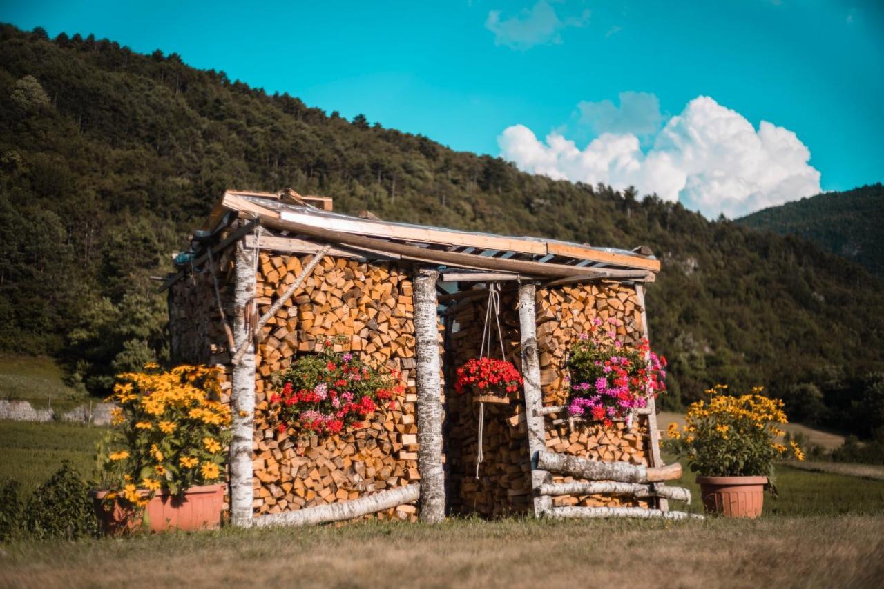 B&B Nonno Carlo Trento Eksteriør bilde