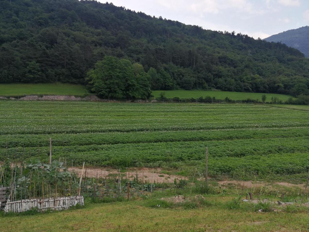 B&B Nonno Carlo Trento Eksteriør bilde