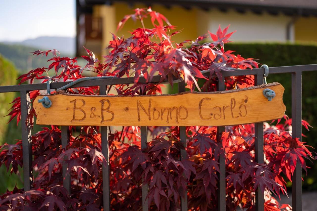 B&B Nonno Carlo Trento Eksteriør bilde