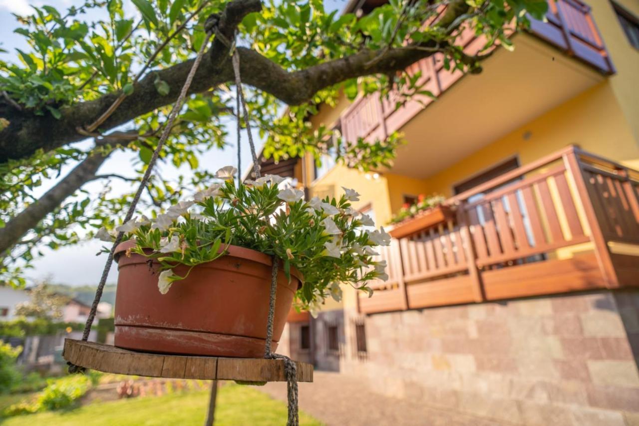 B&B Nonno Carlo Trento Eksteriør bilde